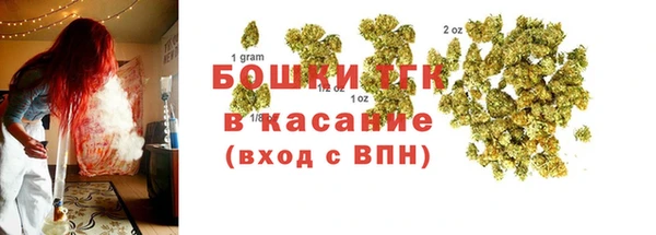 СК Пересвет