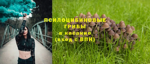 СК Пересвет