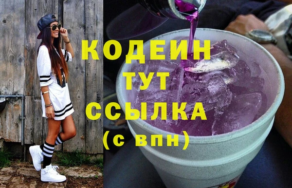 СК Пересвет