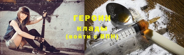 СК Пересвет