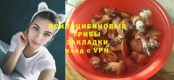 СК Пересвет