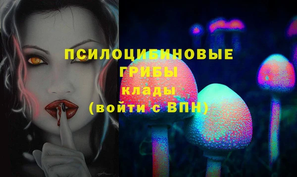 COCAINE Покачи