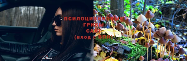 jwh Покров